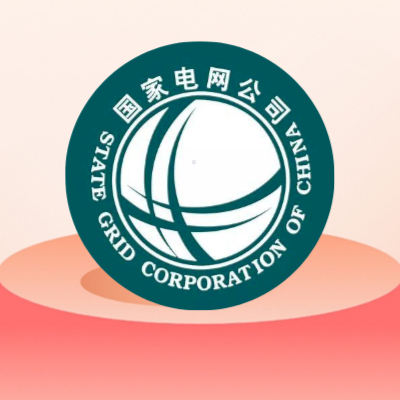 国网电费