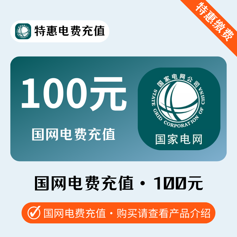 光速-国网电費100