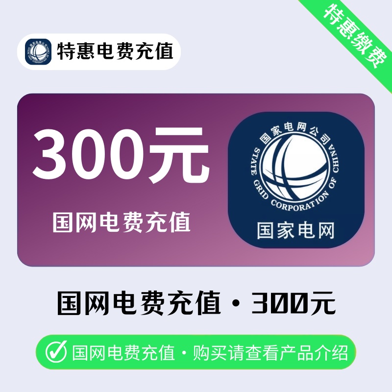 兰博-国网电費300