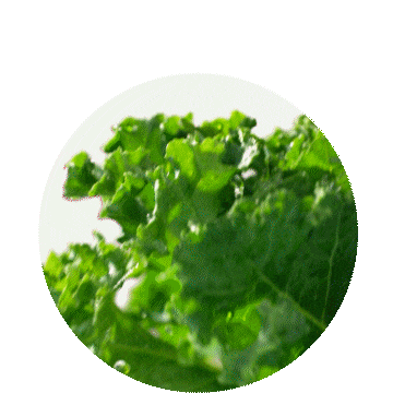 瑞幸单品-羽衣轻体果蔬茶