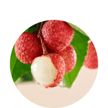 瑞幸咖啡--长安的荔枝冰萃