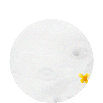 瑞幸单品-鲜萃轻轻桂花