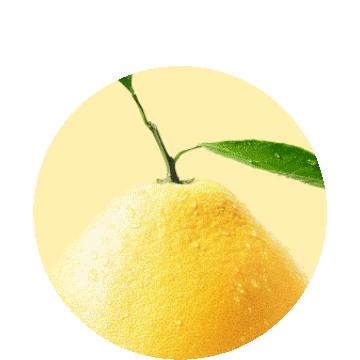 瑞幸单品-琯溪蜜柚拿铁