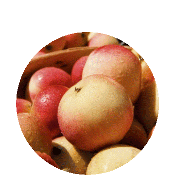 瑞幸咖啡-苹果C美式 