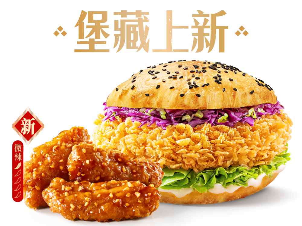 塔斯汀-堡藏西域2件套